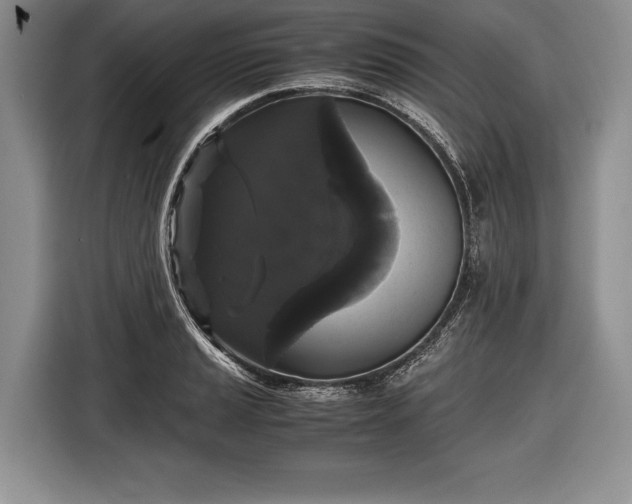X0000116441037200912151236