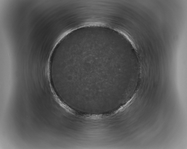 X0000116441038200912151236