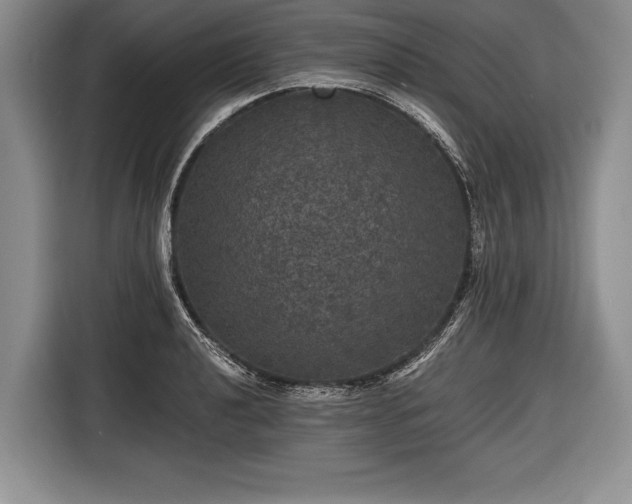X0000116441040200912151236