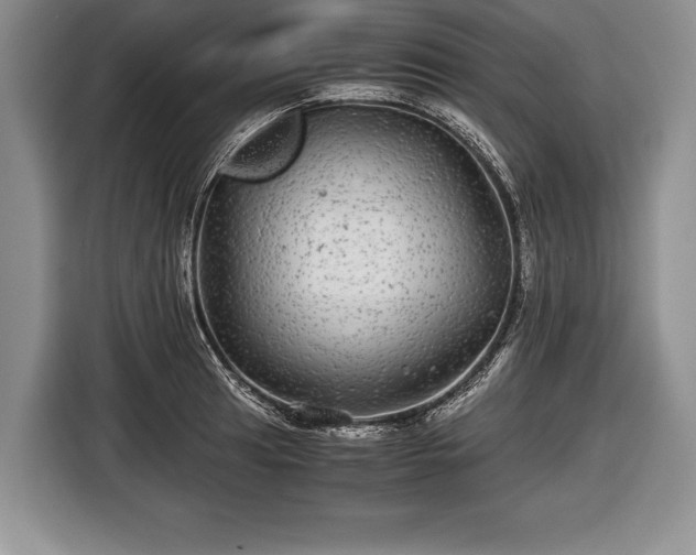 X0000116441041200912151236