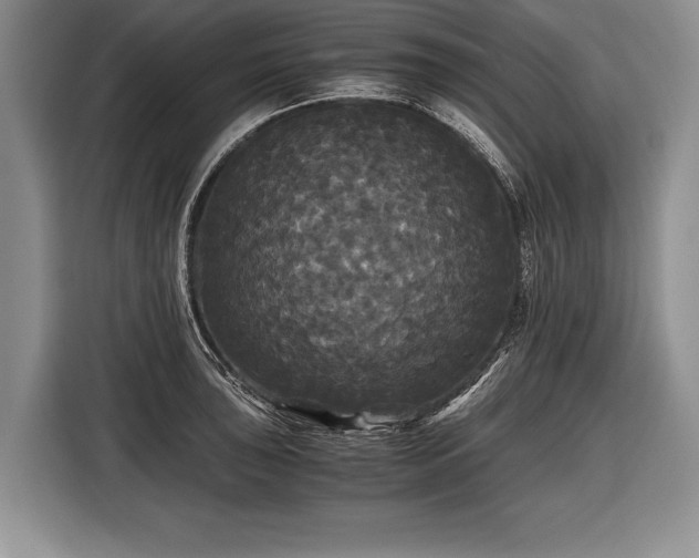 X0000116441043200912151236