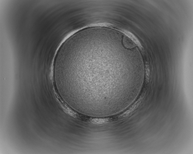 X0000116441044200912151236