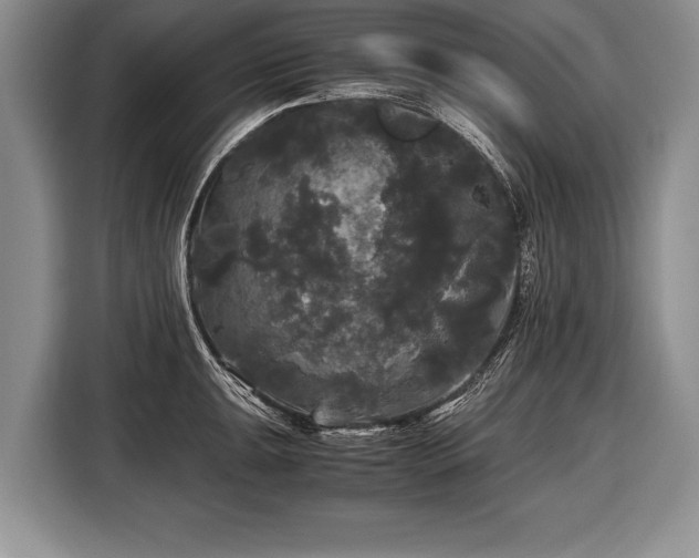 X0000116441047200912151236