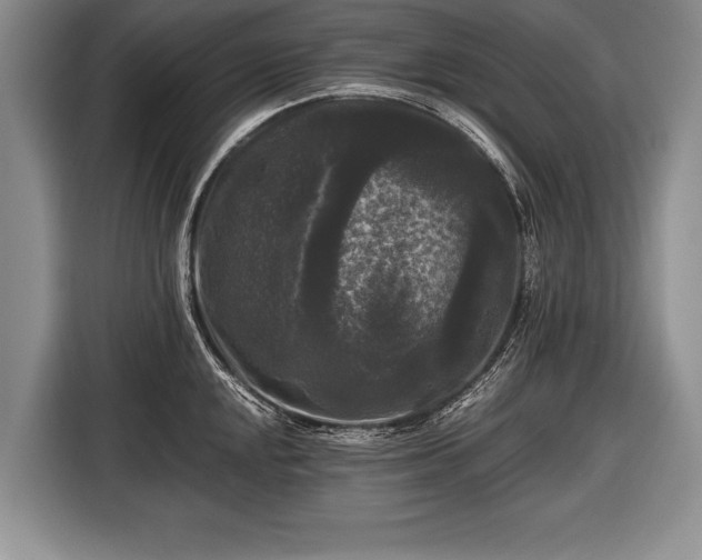 X0000116441048200912151236