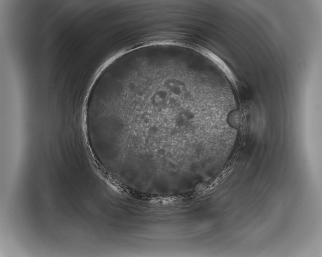 X0000116441051200912151236