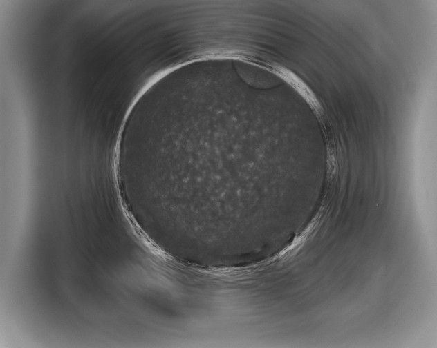 X0000116441052200912151236
