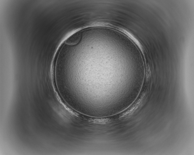 X0000116441053200912151236