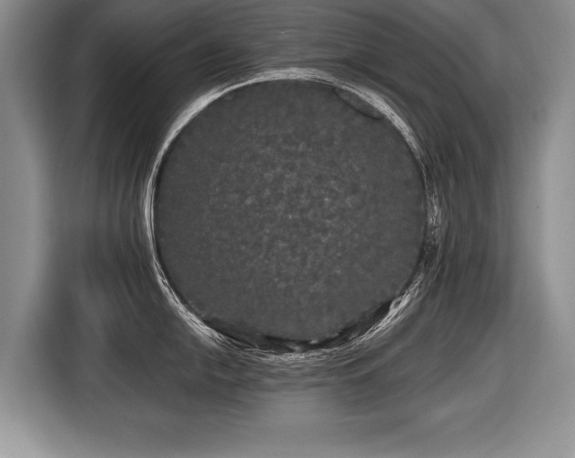 X0000116441054200912151236