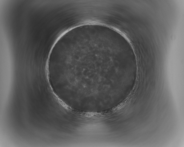 X0000116441056200912151236