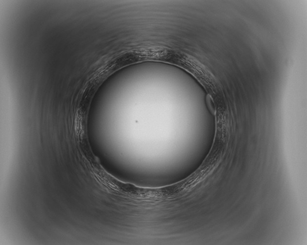 X0000116441058200912151236