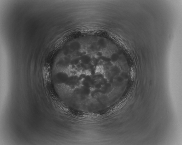 X0000116441059200912151235