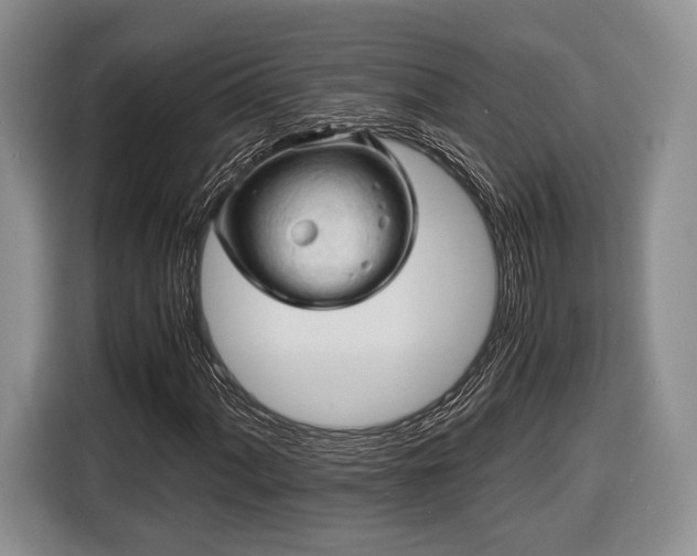 X0000116441060200912151235