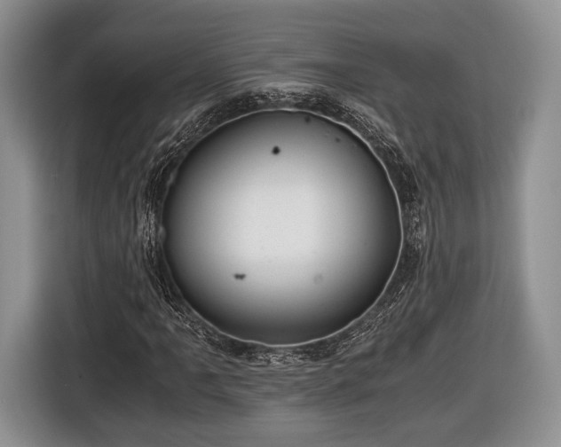 X0000116441061200912151235