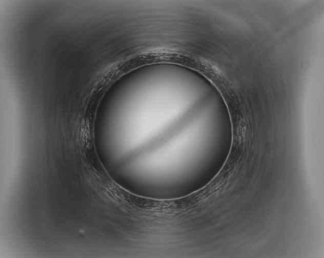 X0000116441062200912151235