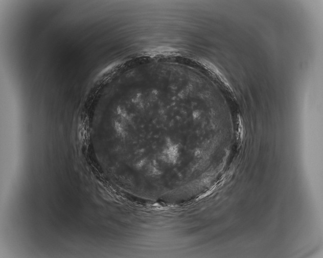 X0000116441063200912151235