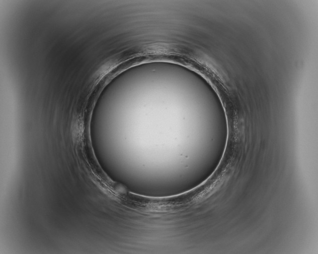 X0000116441065200912151235