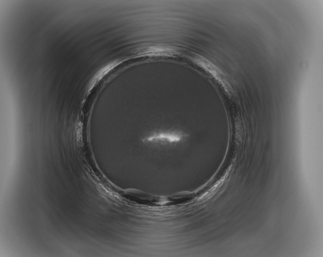 X0000116441066200912151235