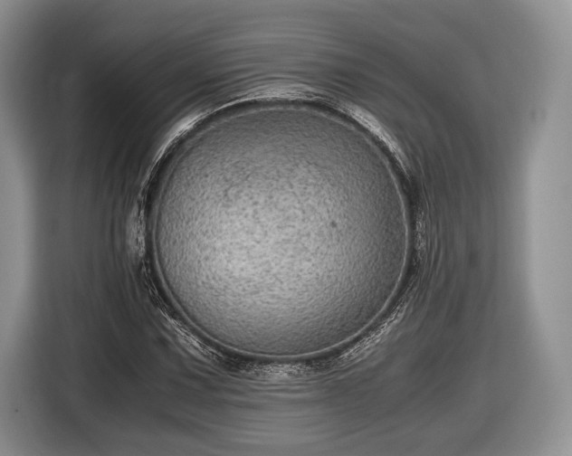 X0000116441067200912151235