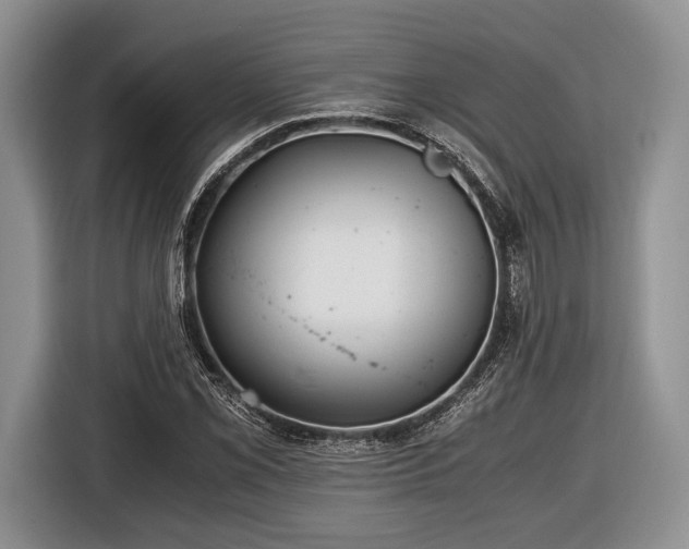 X0000116441069200912151235