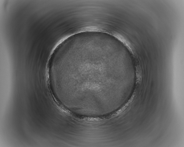 X0000116441070200912151235
