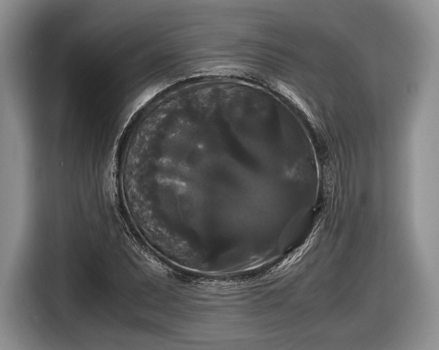 X0000116441071200912151235