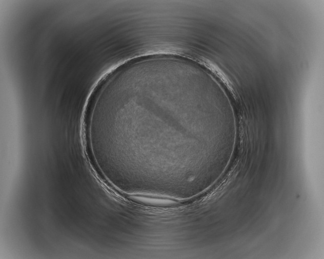 X0000116441072200912151235