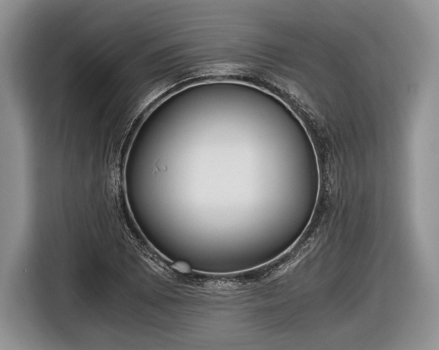 X0000116441073200912151235