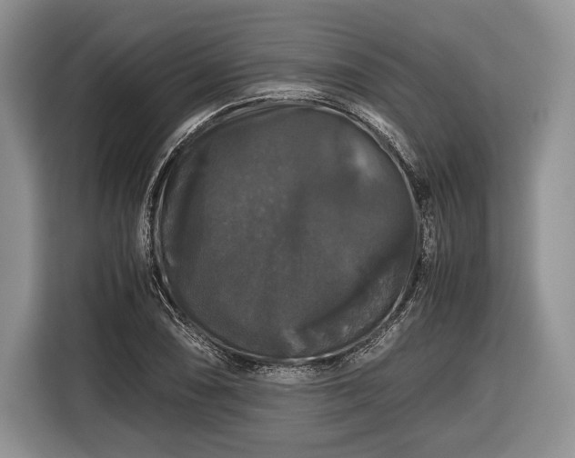X0000116441074200912151235