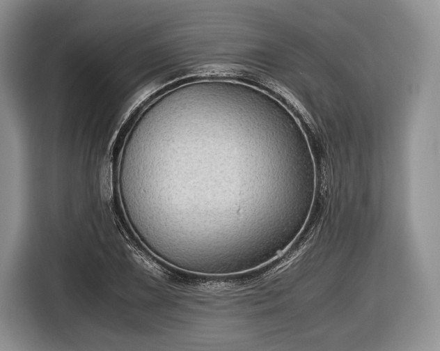 X0000116441075200912151235