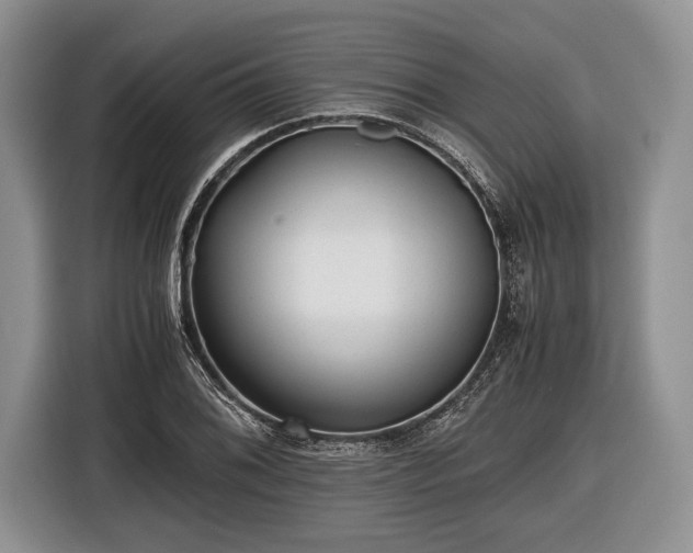 X0000116441076200912151235