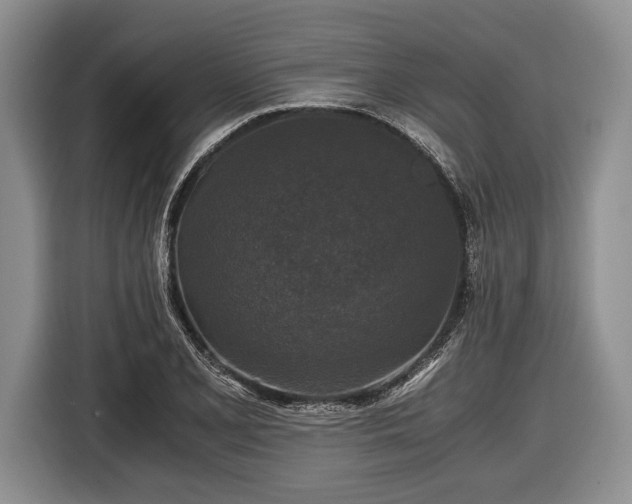 X0000116441077200912151235
