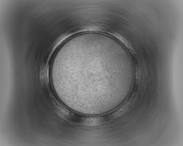 X0000116441078200912151235