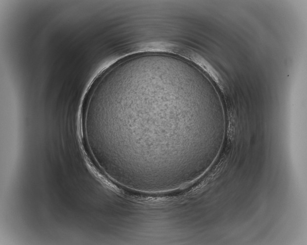 X0000116441080200912151235