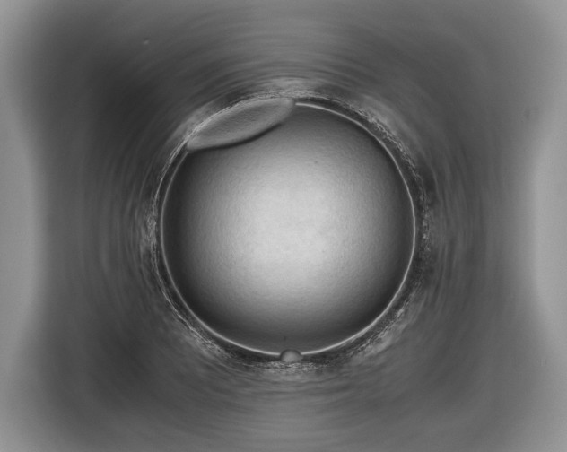 X0000116441081200912151235
