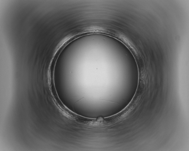 X0000116441082200912151235