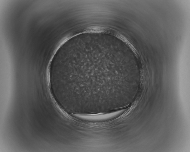 X0000116441083200912151235