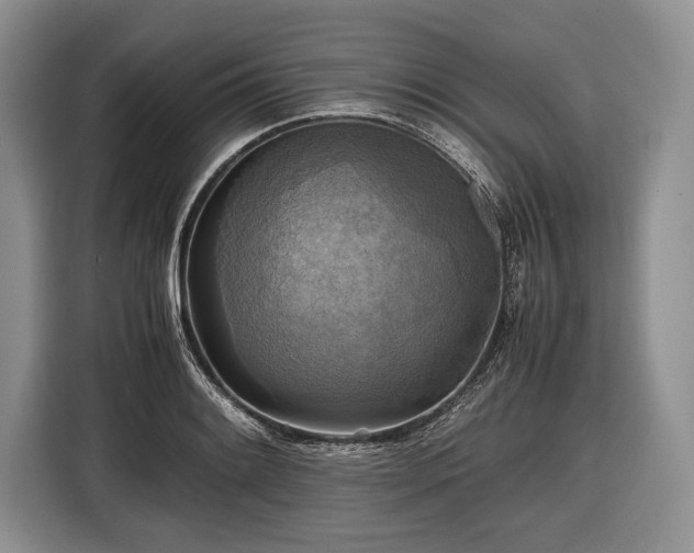X0000116441084200912151235
