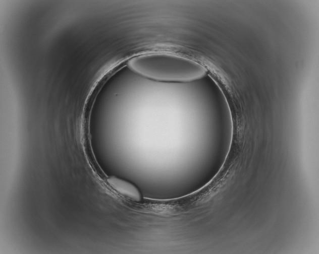 X0000116441085200912151235
