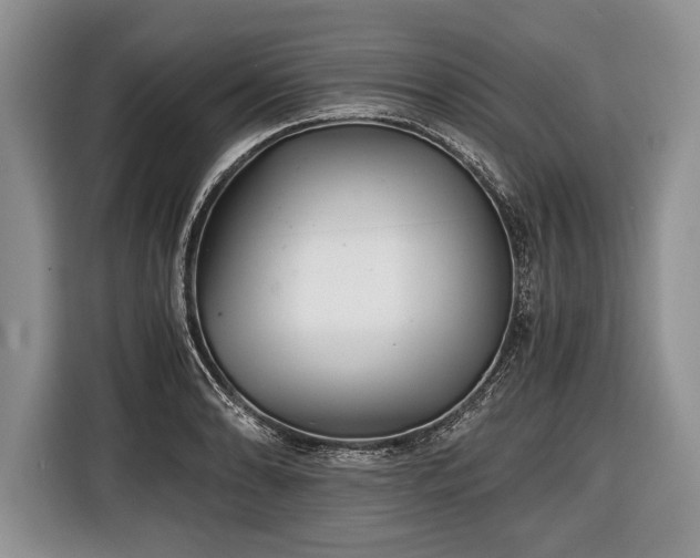 X0000116441086200912151235