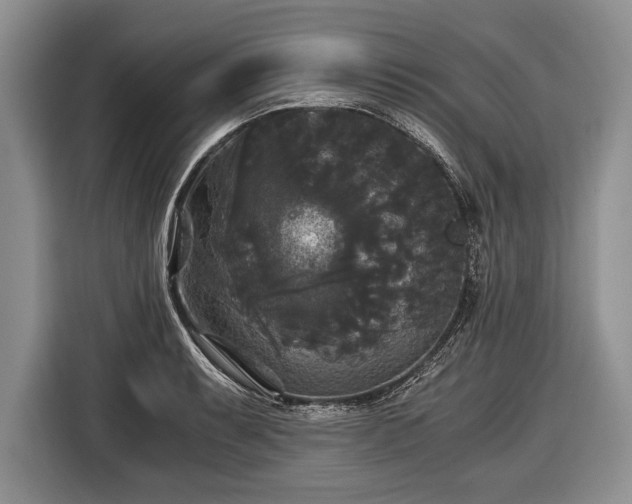 X0000116441087200912151235