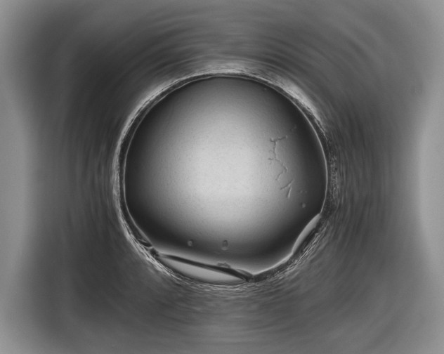 X0000116441088200912151235