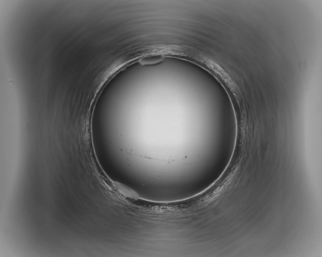 X0000116441089200912151235