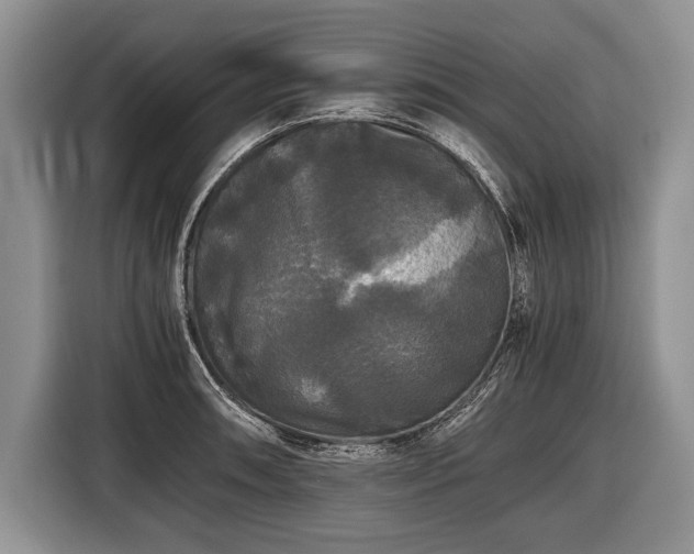 X0000116441090200912151235