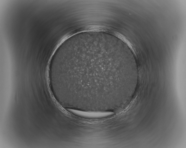 X0000116441091200912151235