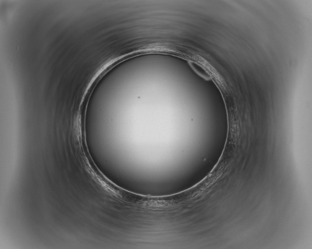 X0000116441092200912151235