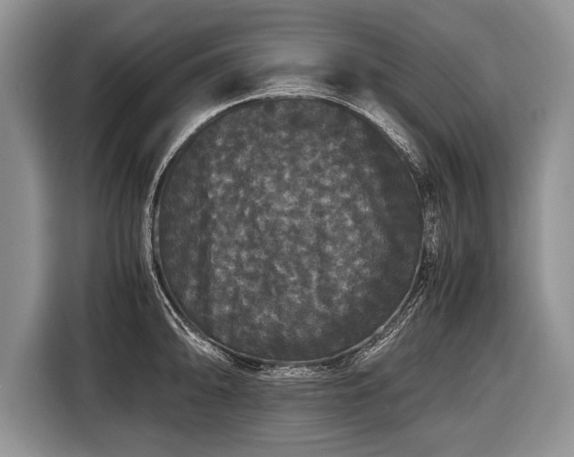 X0000116441094200912151235