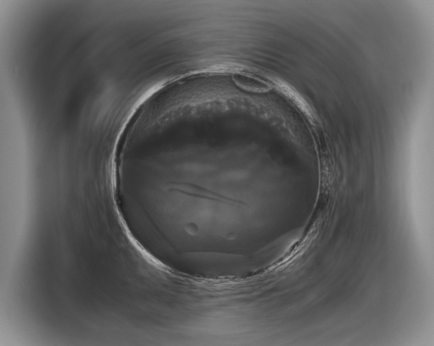 X0000116441095200912151235