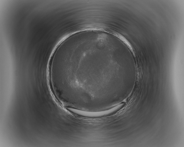 X0000116441096200912151235