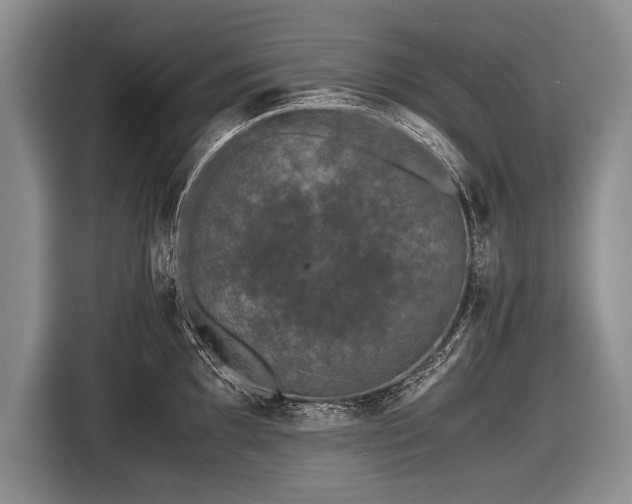 X0000116441097200912151235