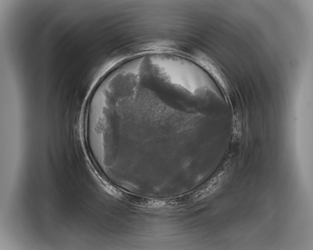 X0000116441098200912151235